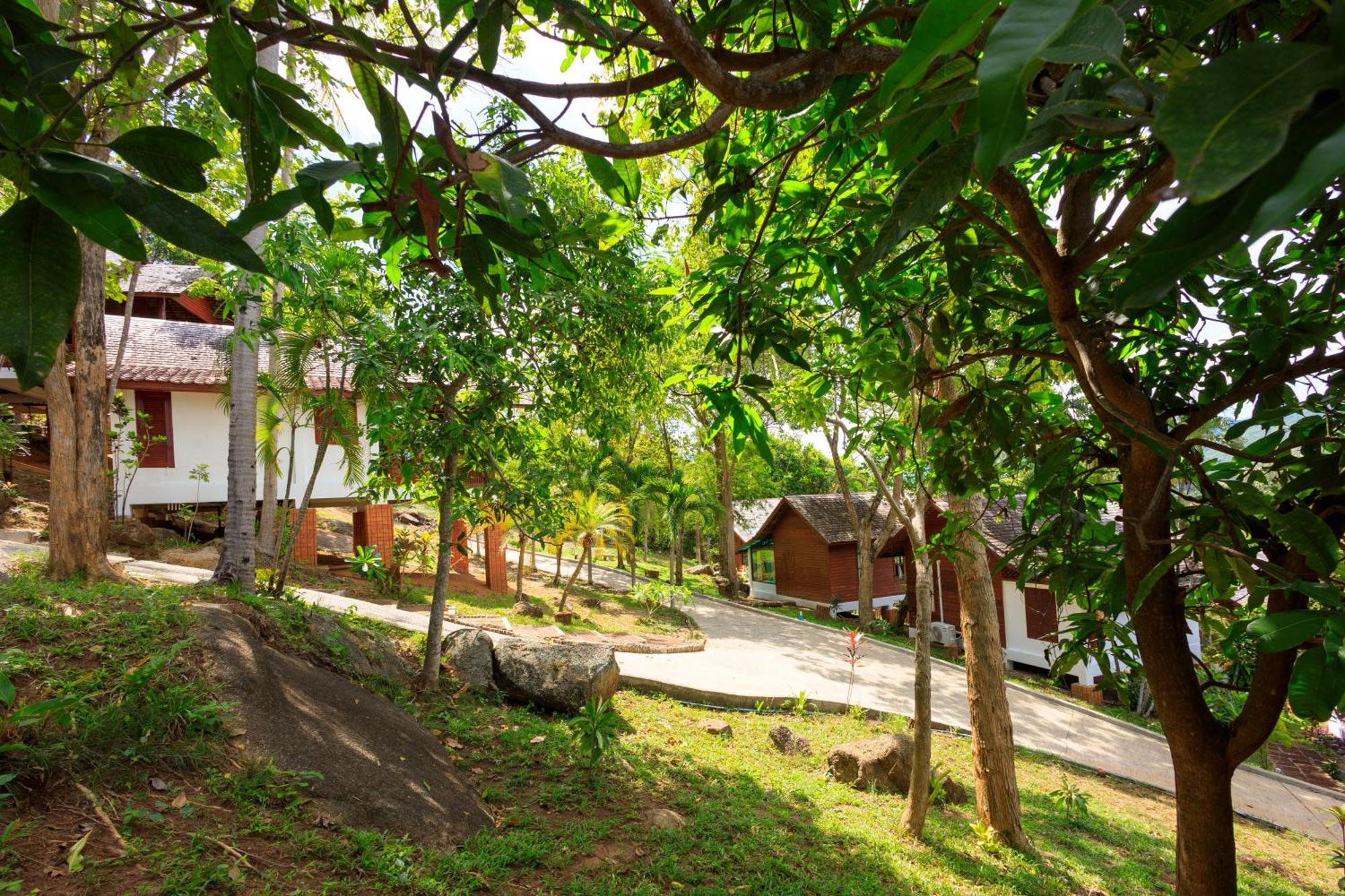 Samui Wooden Hill Lejlighed Lamai Beach  Eksteriør billede